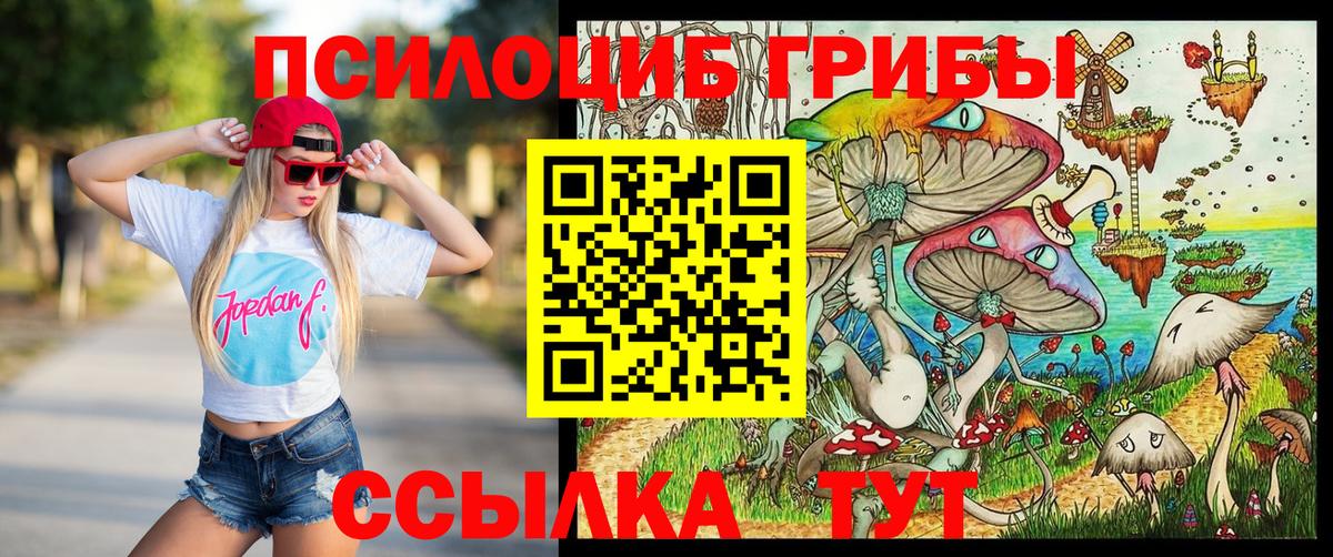 Псилоцибиновые грибы Psilocybine cubensis Сергиев Посад