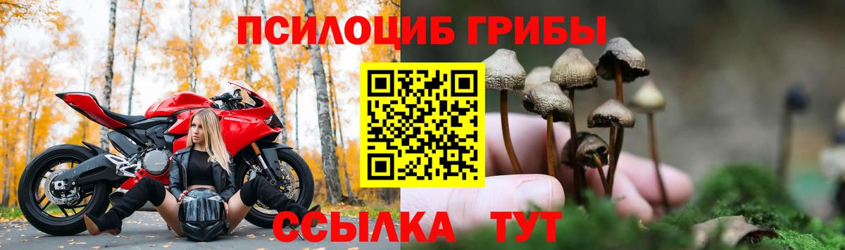 Галлюциногенные грибы мухоморы  Вход с VPN  Сергиев Посад 